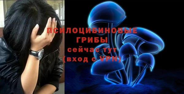 каннабис Арсеньев