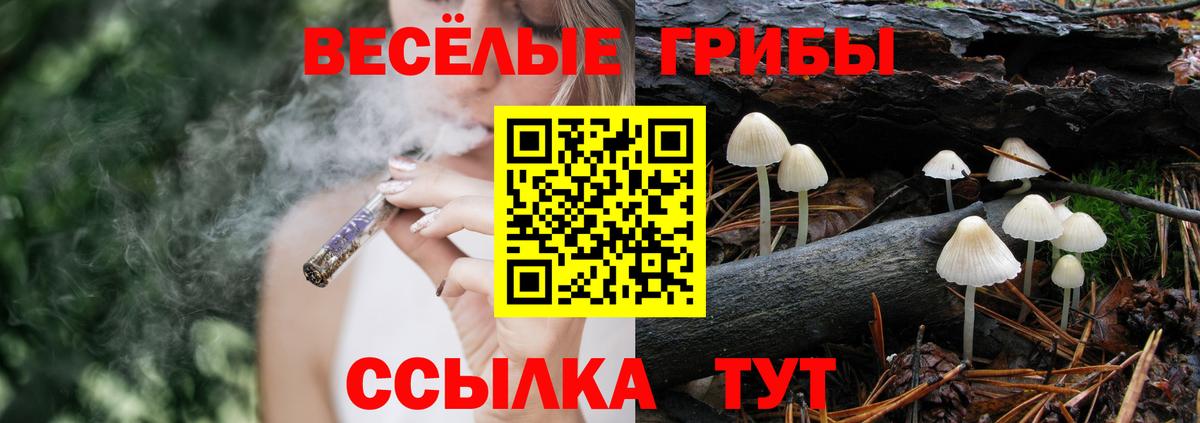 Псилоцибиновые грибы Cubensis Кириши